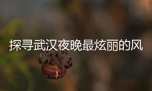 武汉夜生活论坛：夜市美食大揭秘！最受欢迎的夜市小吃